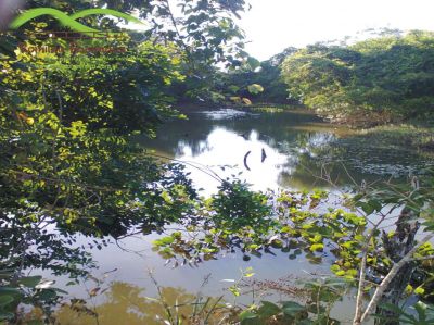  FAZENDA EM CURVELO - MG com área de 5.000 ha