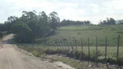 31 hectareas de Campo en Venta en La Sierra de Los Caracoles