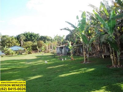 Chácara com Pesque Pague em Trindade-GO cod.73