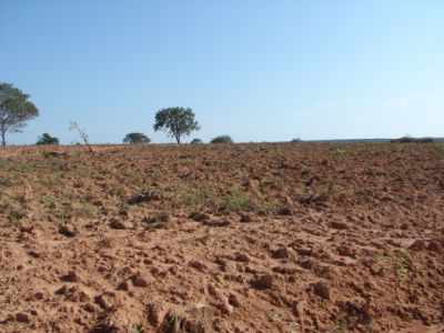 FAZENDA NO TOCANTINS. GRANDE FAZENDA NO TOCANTINS. 150 MIL HECTARES.