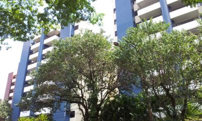 Vendo  Apto na R. Lauro Muller / Edifício Belas Artes / 120m²