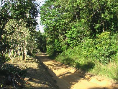 VENDO TERRENO NO TARUMÃ