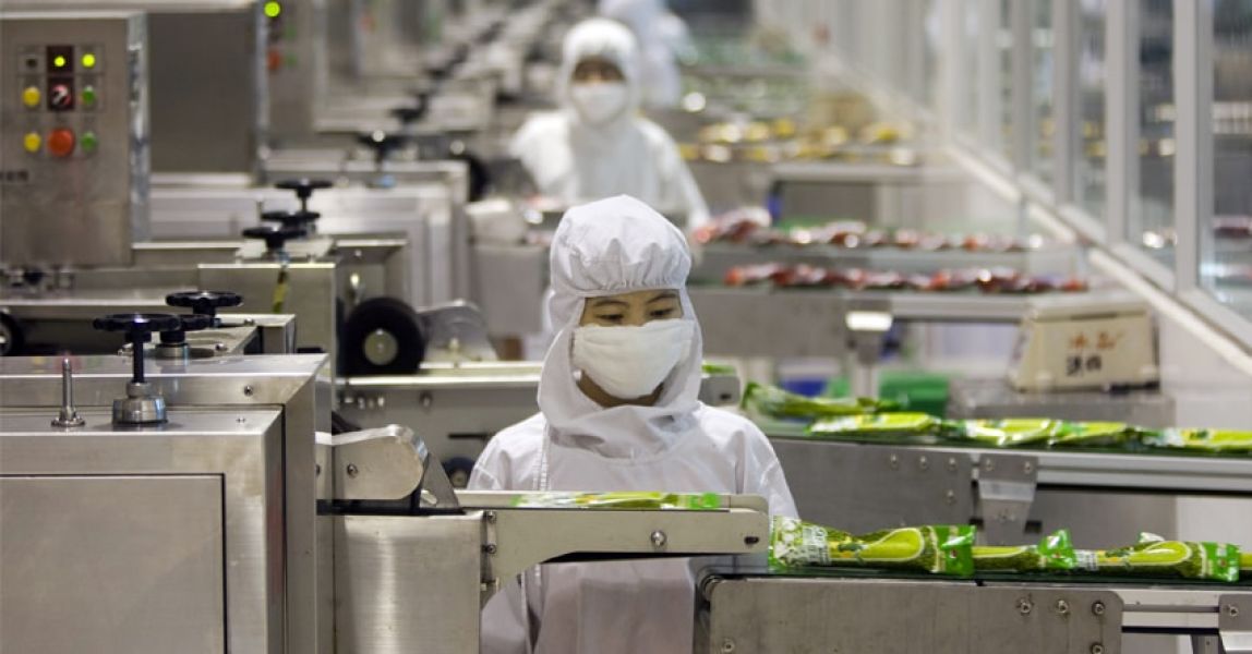 Controle de pragas corretivas nas indústrias alimentícias com eficácia