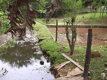 CACHOEIRAS DE MACACÚ SITIOS A VENDA CAETANO IMOVEIS