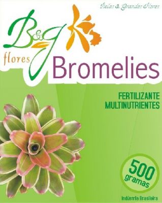 B&G FLORES LTDA