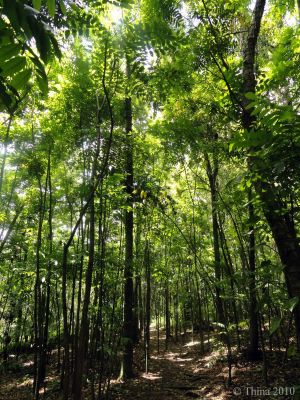 Terreno Residencial Florianópolis