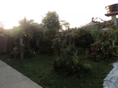 VENDO TERRENO COM 2 CASAS POMAR COM ÁRVORES FRUTÍFERAS E FLORES