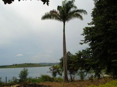 REPRESA DE FURNAS - LOTES ATÉ MIL METROS