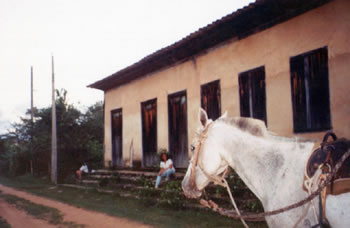 23 a 28 de julho,Milho verde, inverno cultural !!