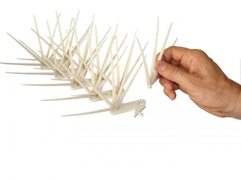 Repelente para Pombos 