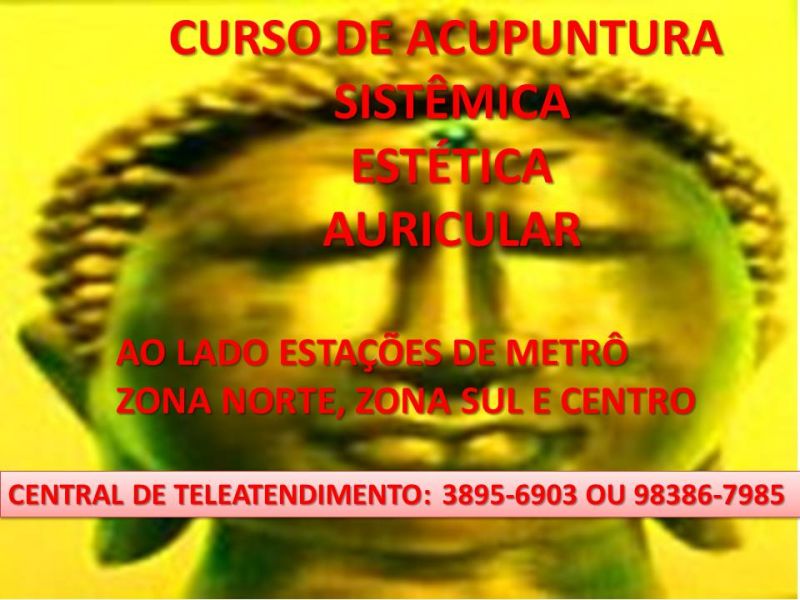 Curso certificado de acupuntura em são paulo
