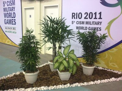 PAISAGISMO EM VASOS LOCAÇAO ALUGUEL PLANTAS ORNAMENTAIS
