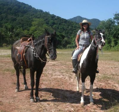 vendo lindo calavo Mangalarga com pelagem pampa 9 anos 