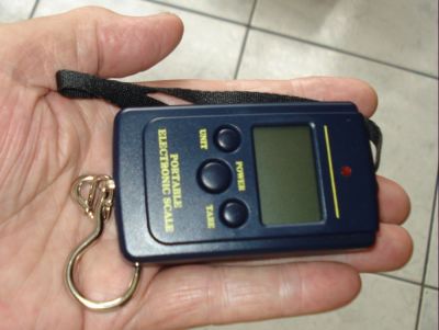 MINI BALANÇA PORTATIL DIGITAL 40 KG  Pilha Gratis