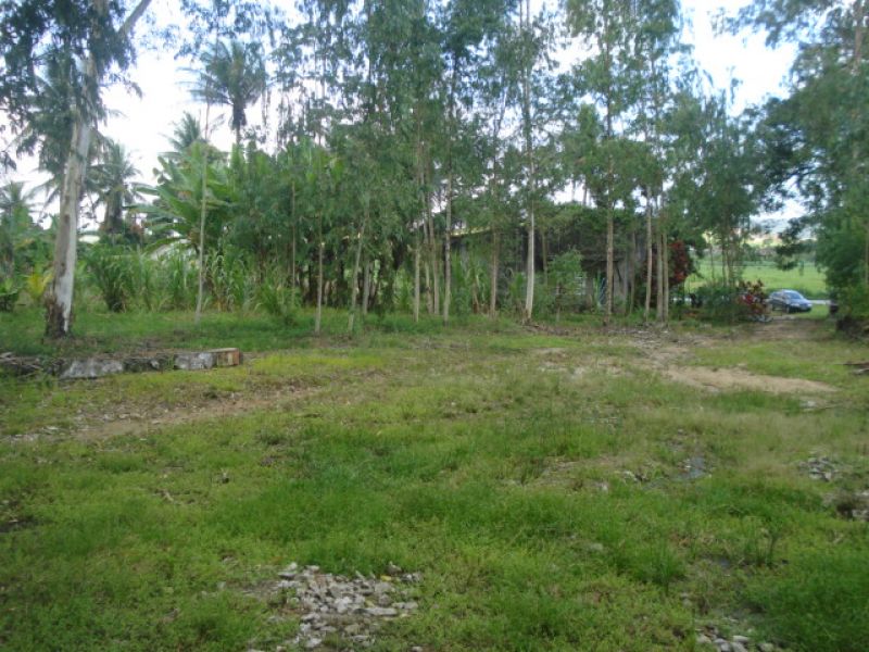 Área para seu projeto empresarial