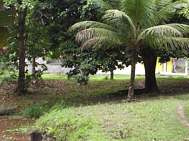 CACHOEIRAS DE MACACÚ SITIOS A VENDA CAETANO IMOVEIS