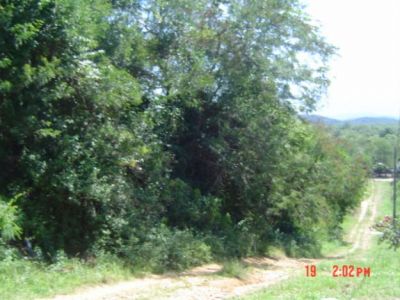 Vendo área de terra na cidade de Antonina