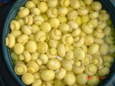 A g cogumelos / Composto de cogumelos