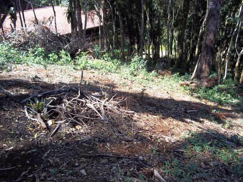 Terreno a venda em Campos do Jordão.