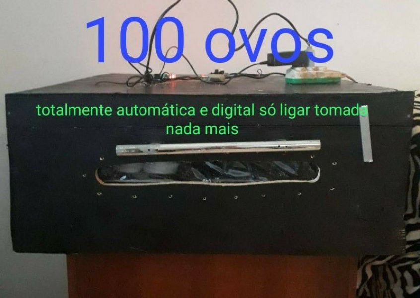 Chocadeira 100 ovos automática digital 