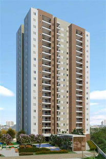 EVERYDAY  -  GUARULHOS