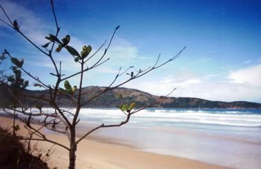 Carnaval 2013,Ilha Grande/RJ