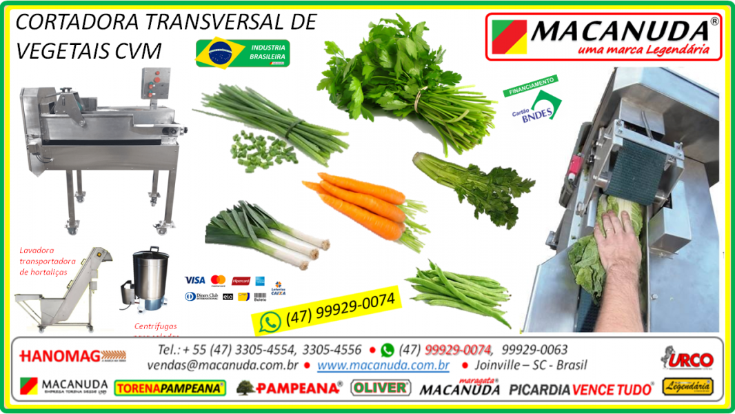 Máquina Industrial de Picar Tempero Verde MACANUDA