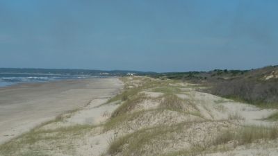 90 hectareas de terreno.