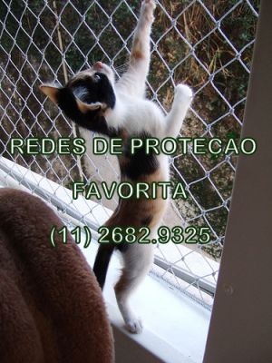 FAVORITA REDES  DE  PROTEÇÃO EM VL  SONIA