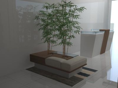 Designer de Interiores