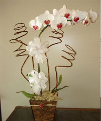 Floricultura Art em Flores - (31) 3532 4385
