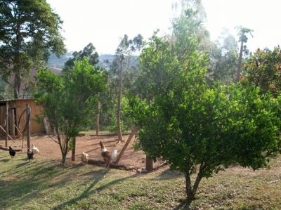 BELÍSSIMO SÍTIO PRÓXIMO AO CENTRO DA ESTÂNCIA HIDROMINERAL DE MONTE ALEGRE DO SUL
