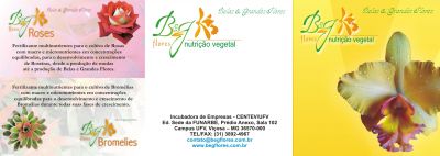 B&G FLORES LTDA
