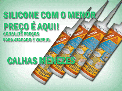 silicone poliuretano