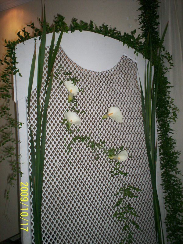 A Festa completa em sua residência, sítio, clube, empresa ou escola.