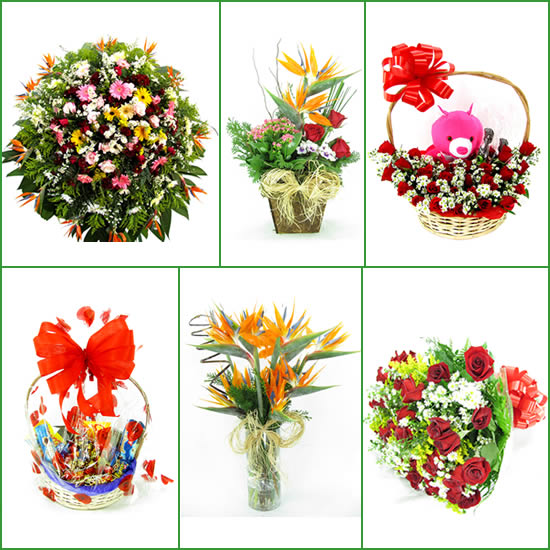 Flores entrega Contagem flores online Contagem floricultura em Contagem MG