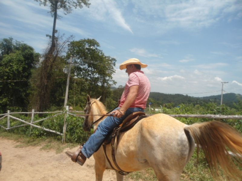 Cavalo andaluz 3.000,00