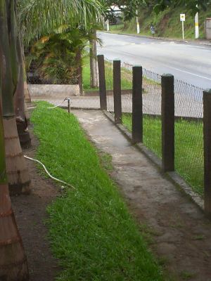 Alvarengadeiras