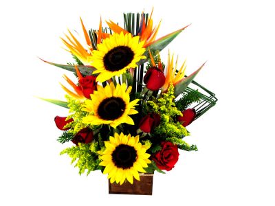 Flores on line BH Floriculturas flora flores presentes em BH Belo Horizonte Nova Lima, Contagem MG 