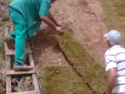 PAISAGISMO e JARDINAGEM (11)2303-5217/ 7303-3441 /6557-9589/8621-3420