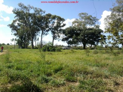  fazenda em curvelo com área de 1.286,49 ha