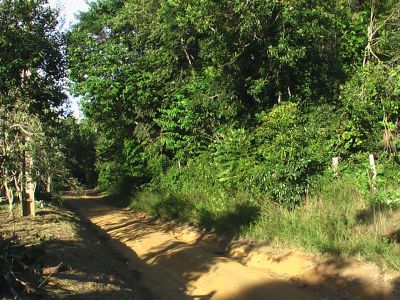 VENDO TERRENO NO TARUMÃ