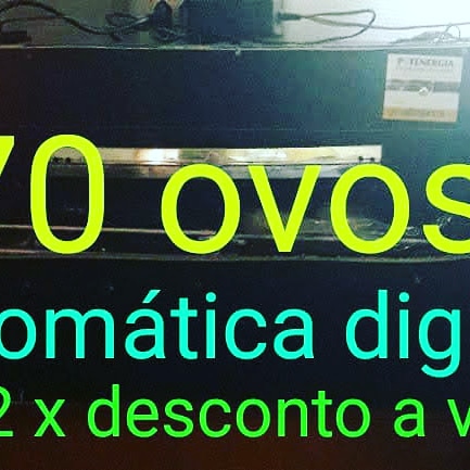 Chocadeira 70 ovos automática digital 