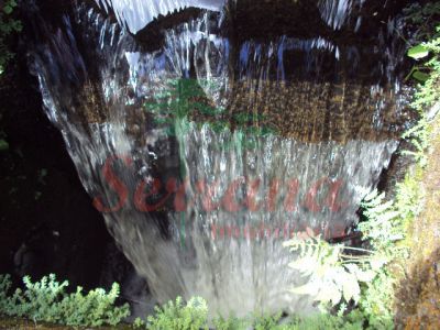 Sítio a venda em Juquitiba rico em água com nascente lago cachoeira 230mil