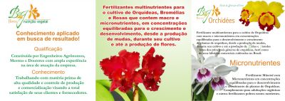 B&G FLORES LTDA