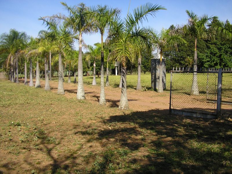 ÁREA 20.500 MTS² EM SÃO CARLOS/SP