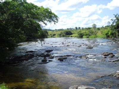 FAZENDA PARA PECUARIA A VENDA - 427 hectares - Aurelino Leal - Bahia.