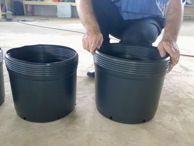 Vasos flexiveis para mudas de plantas