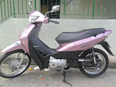 Imperdível Bis 2010  Rosa novissima