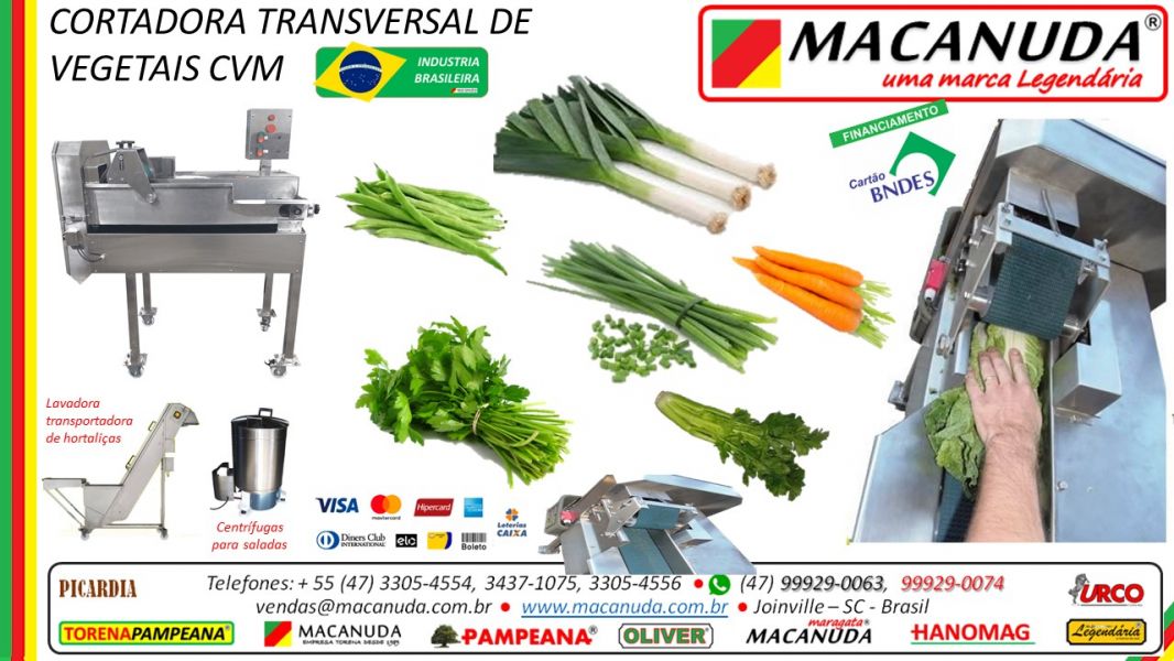 Fatiar Alho Poró Máquina Profissional marca real Macanuda